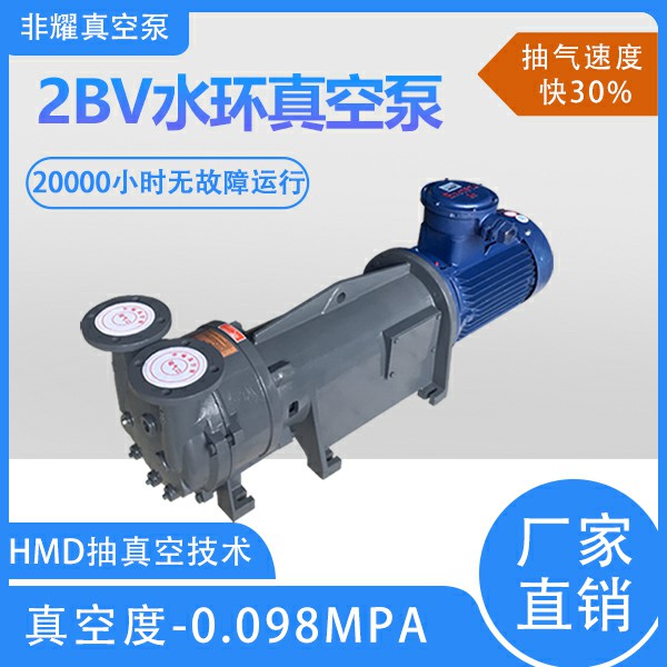 2bv型水环真空泵
