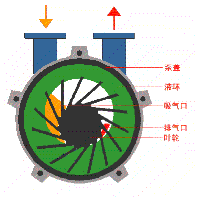 水循环真空泵工作原理图